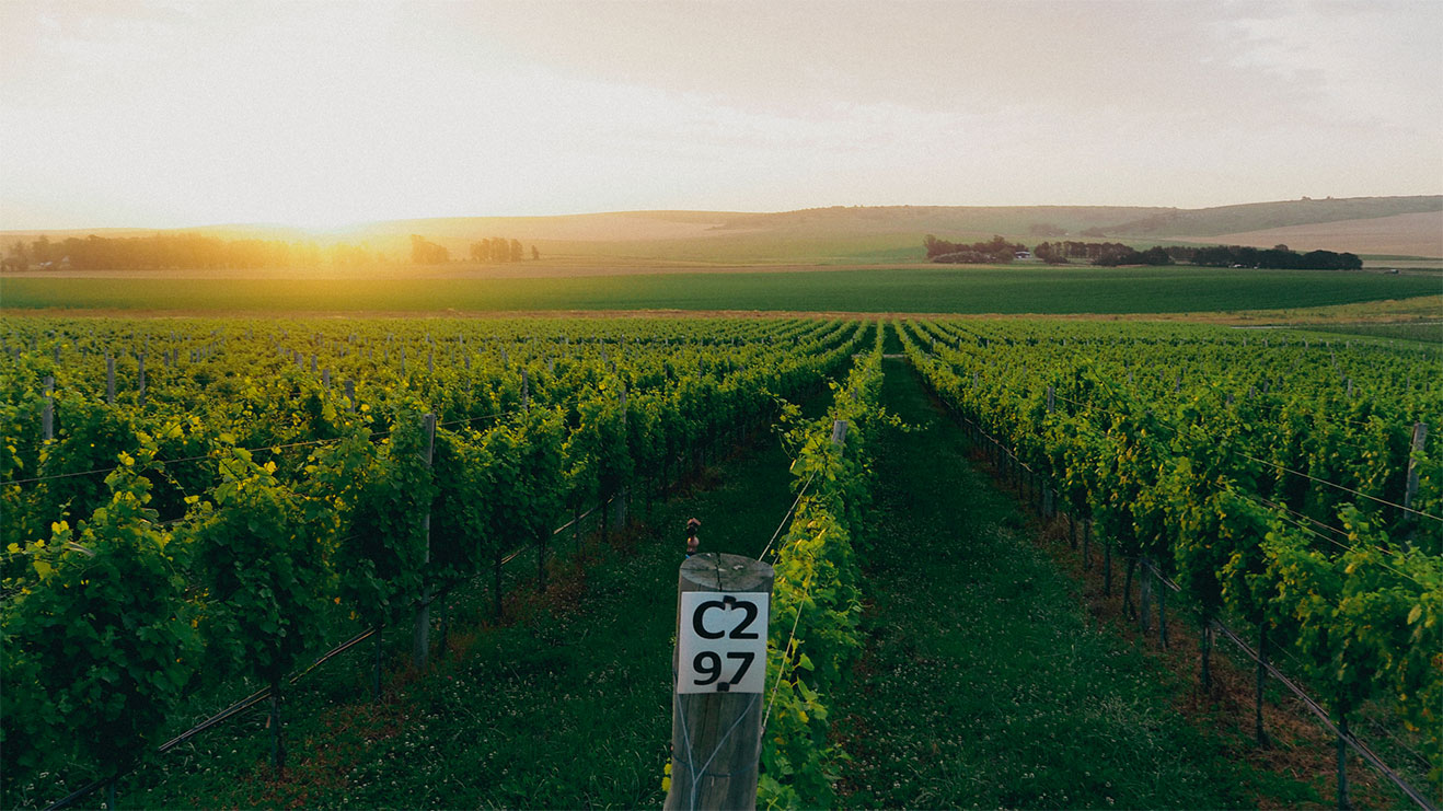 Espíritu Emprendedor - Castel Conegliano