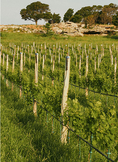 Historia - Castel Conegliano