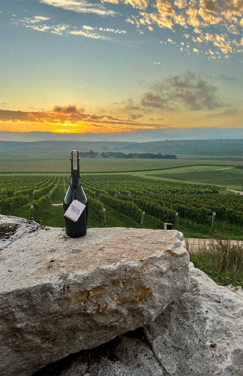 Nuestra historia Castel Conegliano