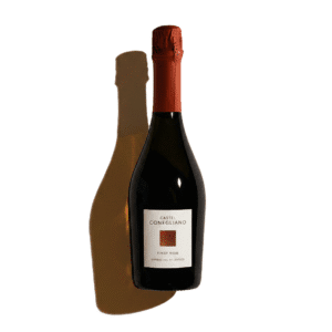 Castel Conegliano Pinot Rosé 2024